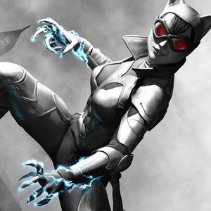 Arkham Catwoman silk canvas Fabric Poster (36" x 24")